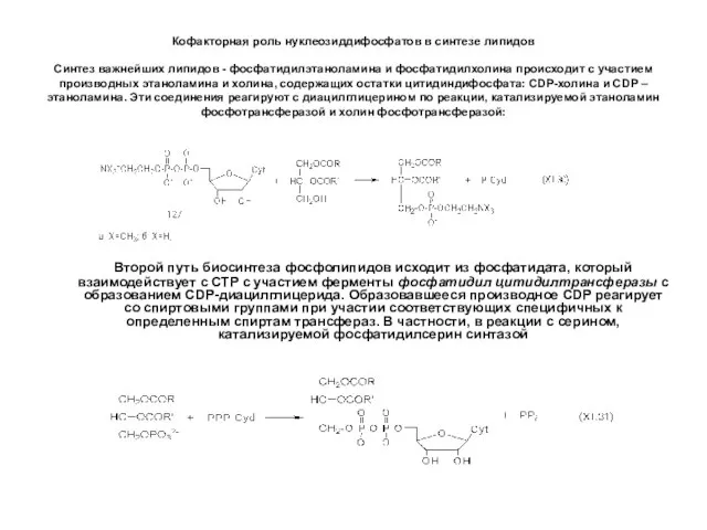 Кофакторная роль нуклеозиддифосфатов в синтезе липидов Синтез важнейших липидов - фосфатидилэтаноламина