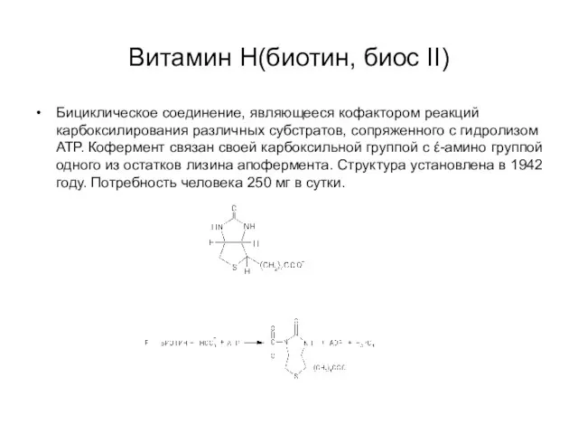 Витамин Н(биотин, биос II) Бициклическое соединение, являющееся кофактором реакций карбоксилирования различных
