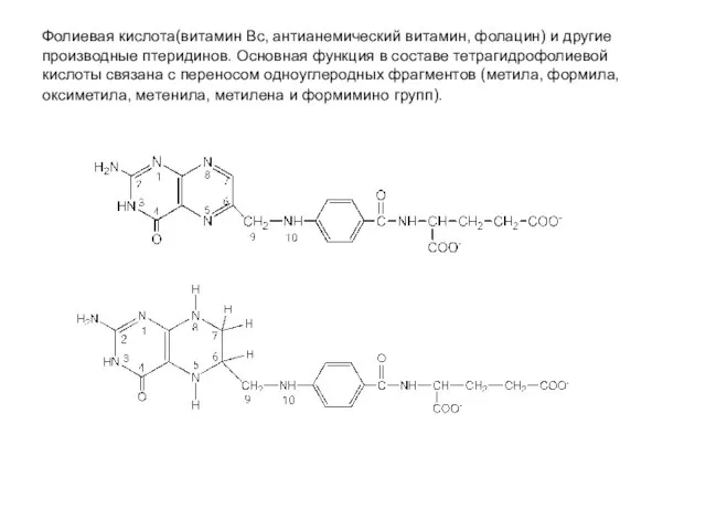 Фолиевая кислота(витамин Вс, антианемический витамин, фолацин) и другие производные птеридинов. Основная