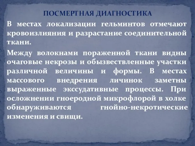 ПОСМЕРТНАЯ ДИАГНОСТИКА В местах локализации гельминтов отмечают кровоизлияния и разрастание соединительной