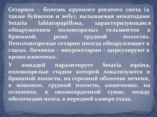 Сетариоз – болезнь крупного рогатого скота (а также буйволов и зебу),