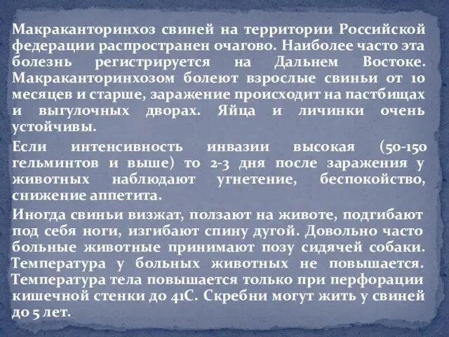 Макраканторинхоз свиней на территории Российской федерации распространен очагово. Наиболее часто эта