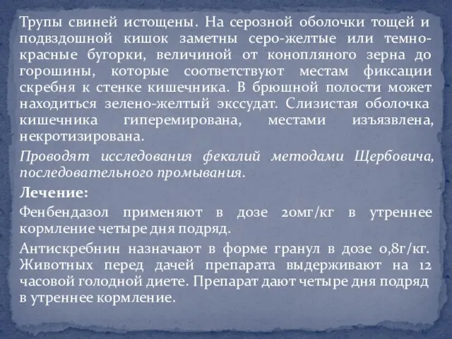 Трупы свиней истощены. На серозной оболочки тощей и подвздошной кишок заметны