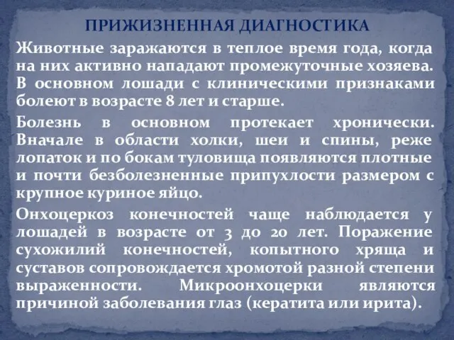 ПРИЖИЗНЕННАЯ ДИАГНОСТИКА Животные заражаются в теплое время года, когда на них