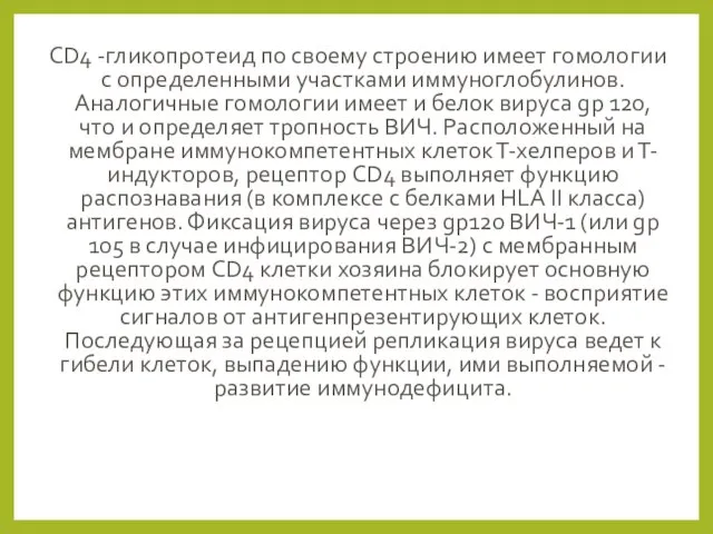 CD4 -гликопротеид по своему строению имеет гомологии с определенными участками иммуноглобулинов.