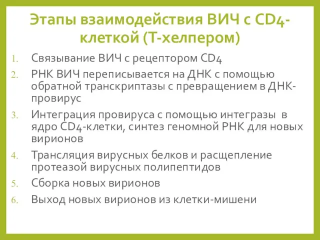 Этапы взаимодействия ВИЧ с CD4-клеткой (Т-хелпером) Связывание ВИЧ с рецептором CD4