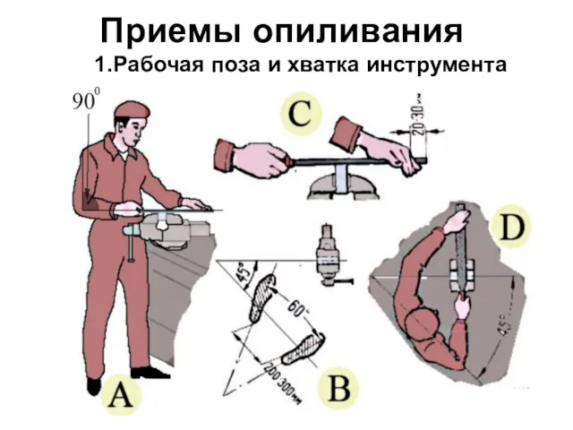 Приемы опиливания 1.Рабочая поза и хватка инструмента