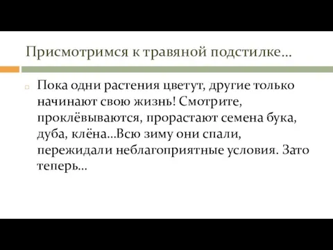 Присмотримся к травяной подстилке… Пока одни растения цветут, другие только начинают