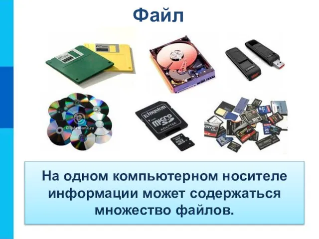 На одном компьютерном носителе информации может содержаться множество файлов. Файл