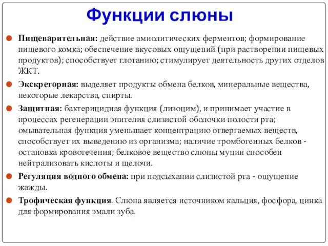 Функции слюны Пищеварительная: действие амиолитических ферментов; формирование пищевого комка; обеспечение вкусовых