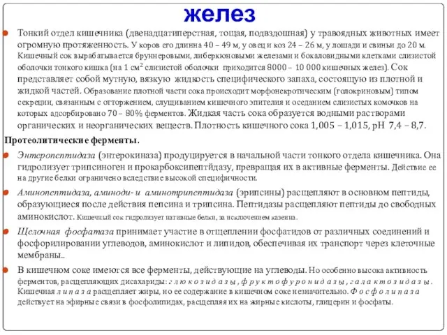 Секреторная функция кишечных желез Тонкий отдел кишечника (двенадцатиперстная, тощая, подвздошная) у