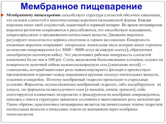 Мембранное пищеварение Мембранному пищеварению способствует структура слизистой оболочки кишечника, это складки