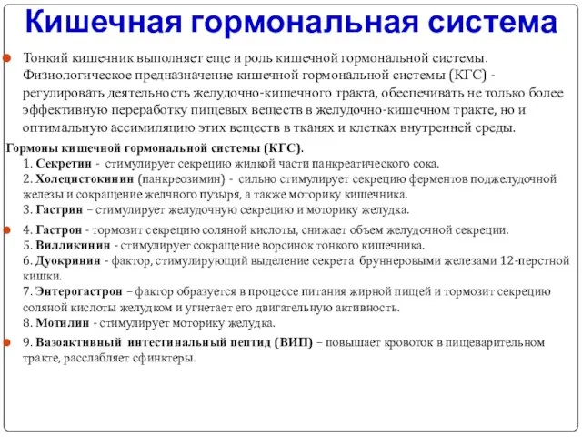 Кишечная гормональная система Тонкий кишечник выполняет еще и роль кишечной гормональной