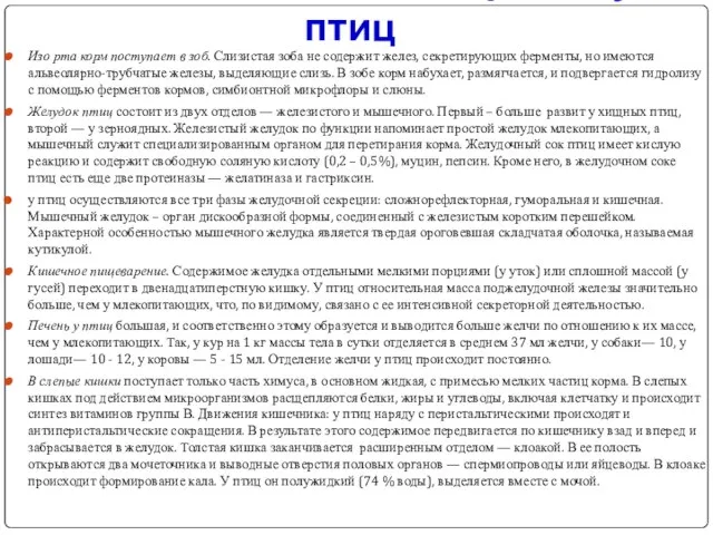 Изо рта корм поступает в зоб. Слизистая зоба не содержит желез,