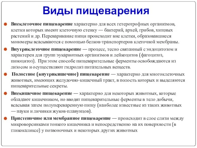 Виды пищеварения Внеклеточное пищеварение характерно для всех гетеротрофных организмов, клетки которых