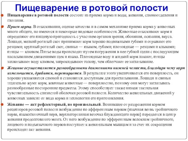 Пищеварение в ротовой полости Пищеварение в ротовой полости состоит из приема