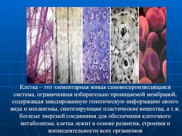 Клетка – это элементарная живая самовоспроизводящаяся система, ограниченная избирательно проницаемой мембраной,