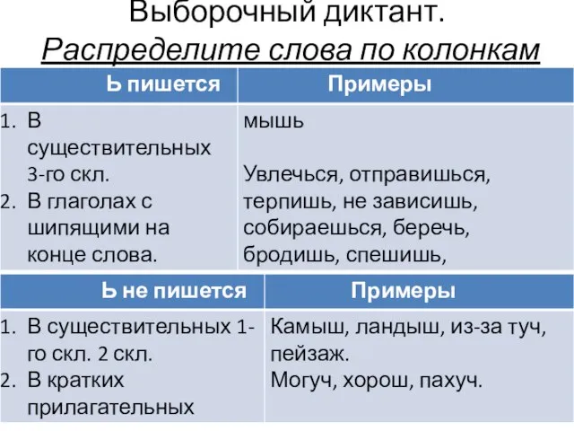 Выборочный диктант. Распределите слова по колонкам