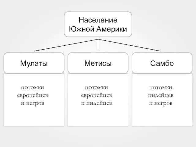 Население Южной Америки потомки европейцев и негров потомки европейцев и индейцев