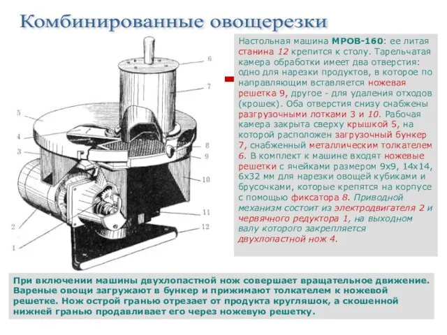 Комбинированные овощерезки Настольная машина МРОВ-160: ее литая станина 12 крепится к