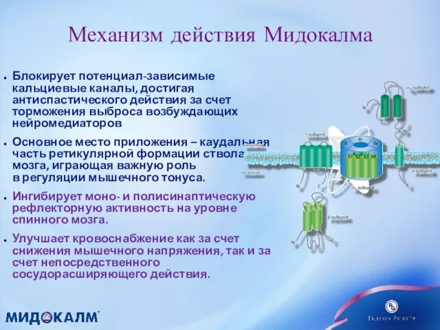 Блокирует потенциал-зависимые кальциевые каналы, достигая антиспастического действия за счет торможения выброса