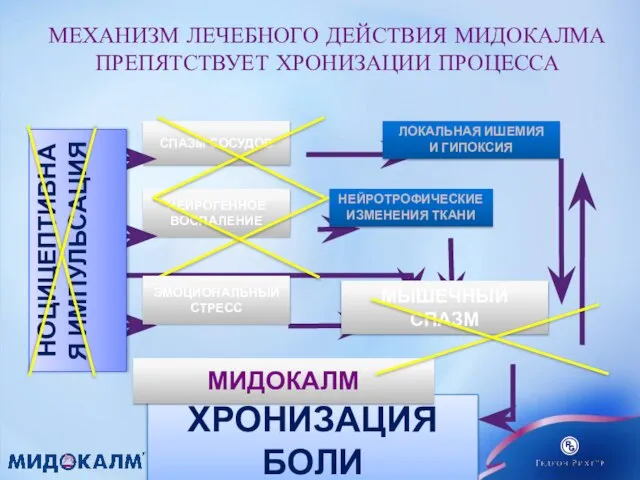 МЕХАНИЗМ ЛЕЧЕБНОГО ДЕЙСТВИЯ МИДОКАЛМА ПРЕПЯТСТВУЕТ ХРОНИЗАЦИИ ПРОЦЕССА СПАЗМ СОСУДОВ НЕЙРОГЕННОЕ ВОСПАЛЕНИЕ