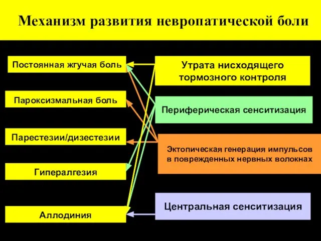 Механизм развития невропатической боли Постоянная жгучая боль Пароксизмальная боль Парестезии/дизестезии Гипералгезия