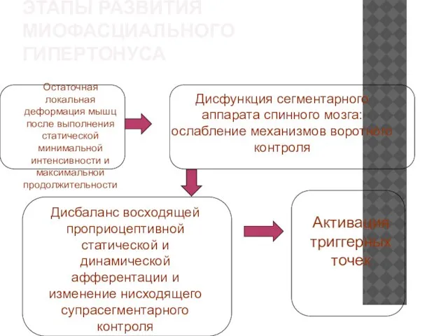 ЭТАПЫ РАЗВИТИЯ МИОФАСЦИАЛЬНОГО ГИПЕРТОНУСА Остаточная локальная деформация мышц после выполнения статической