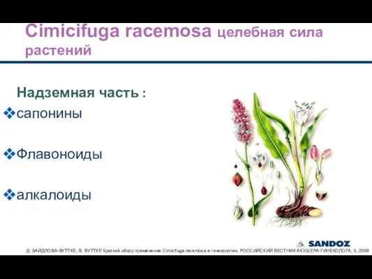 Надземная часть : сапонины Флавоноиды алкалоиды Cimicifuga racemosa целебная сила растений