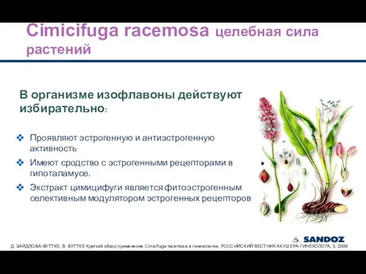 В организме изофлавоны действуют избирательно: Проявляют эстрогенную и антиэстрогенную активность Имеют