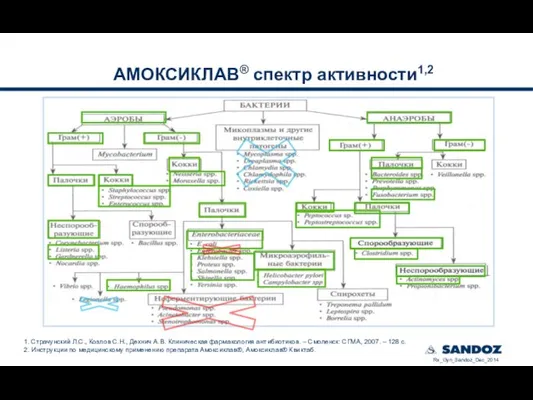 АМОКСИКЛАВ® спектр активности1,2 1. Страчунский Л.С., Козлов С.Н., Дехнич А.В. Клиническая