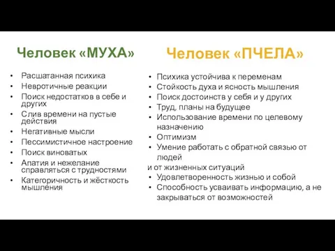 Человек «МУХА» Расшатанная психика Невротичные реакции Поиск недостатков в себе и