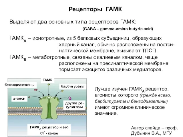 Рецепторы ГАМК Выделяют два основных типа рецепторов ГАМК: (GABA – gamma-amino