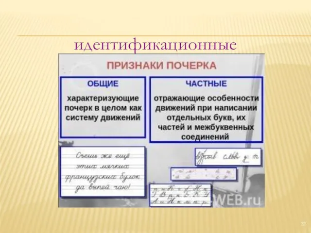 идентификационные признаки почерка