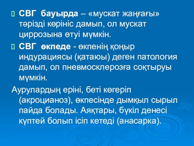 СВГ бауырда – «мускат жаңғағы» тәрізді көрініс дамып, ол мускат циррозына