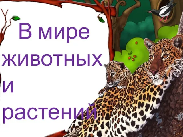 В мире животных и растений