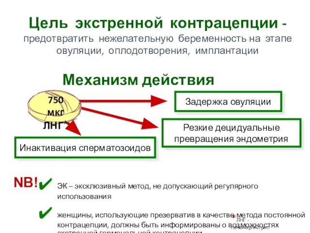 Механизм действия Задержка овуляции Резкие децидуальные превращения эндометрия Инактивация сперматозоидов Цель