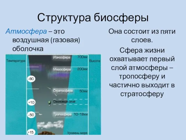 Структура биосферы Она состоит из пяти слоев. Сфера жизни охватывает первый