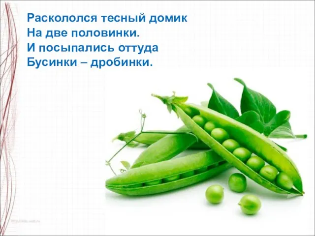 Раскололся тесный домик На две половинки. И посыпались оттуда Бусинки – дробинки.