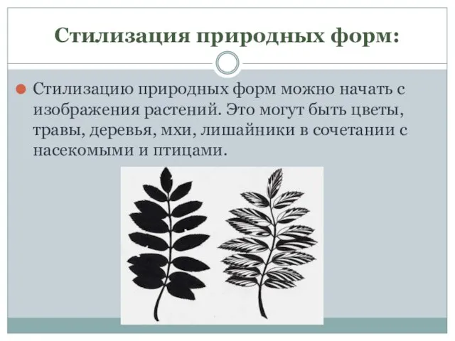 Стилизация природных форм: Стилизацию природных форм можно начать с изображения растений.