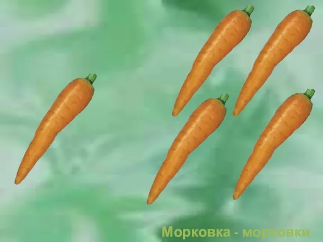 Морковка - морковки