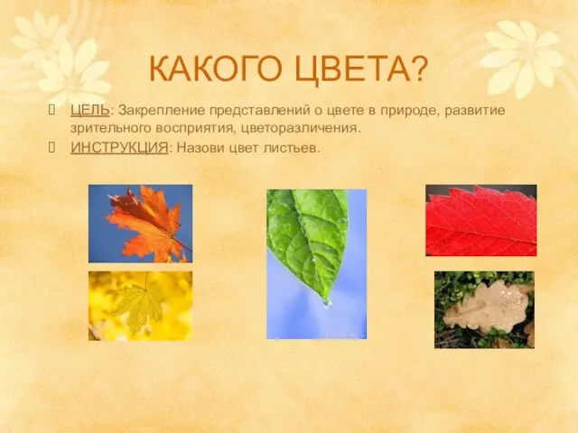 КАКОГО ЦВЕТА? ЦЕЛЬ: Закрепление представлений о цвете в природе, развитие зрительного