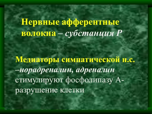 Нервные афферентные волокна – субстанция Р Медиаторы симпатической н.с. –норадреналин, адреналин стимулируют фосфолипазу А- разрушение клетки