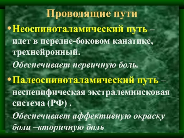 Проводящие пути Неоспиноталамический путь – идет в передне-боковом канатике, трехнейронный. Обеспечивает