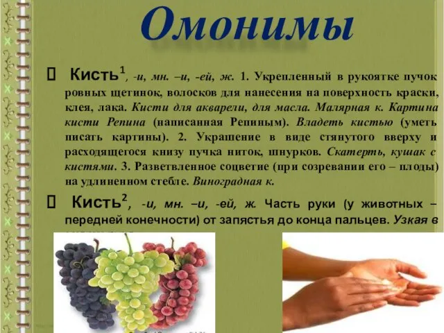 Кисть1, -и, мн. –и, -ей, ж. 1. Укрепленный в рукоятке пучок