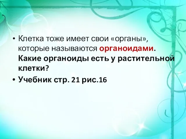 Клетка тоже имеет свои «органы», которые называются органоидами. Какие органоиды есть