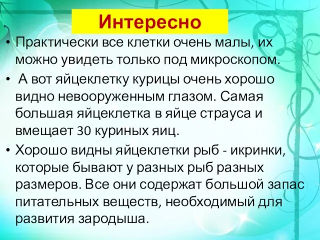 Интересно Практически все клетки очень малы, их можно увидеть только под