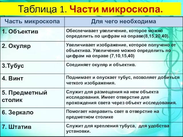 Таблица 1. Части микроскопа.