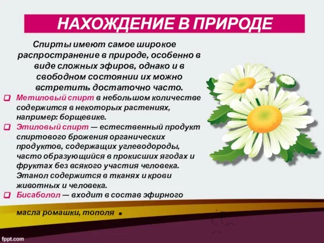 НАХОЖДЕНИЕ В ПРИРОДЕ Спирты имеют самое широкое распространение в природе, особенно