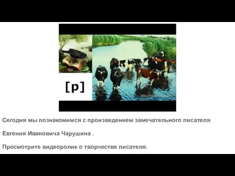 Сегодня мы познакомимся с произведением замечательного писателя Евгения Ивановича Чарушина . Просмотрите видеоролик о творчестве писателя.